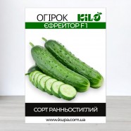 Насіння огірка єфрейтор F1, 0,5 кг